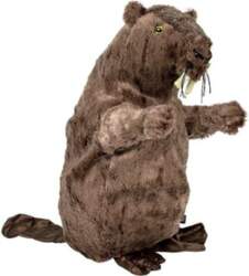 Trixie Beaver, 40cm