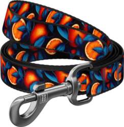 Waudog Nylon dog leash, pattern ``Oranges``