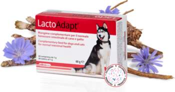 DOGOTEKA LactoAdapt 60 tabl.
