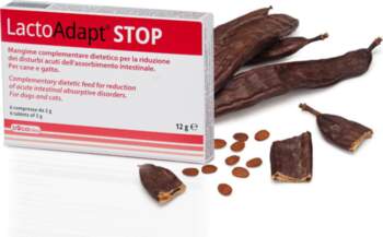DOGOTEKA LactoAdapt STOP 6 tabl.