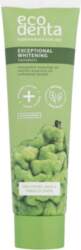 Ecodenta Toothpaste Toothpaste Zobu pasta 100ml