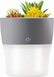 Setty humidifier NP-18 grey