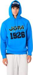 Vīriešu ikdienas džemperis CCM JOFA Pullover