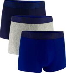 Vīriešu bokseršorti Under Armour Perf Tech