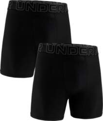 Vīriešu bokseršorti Under Armour  Performance Tech