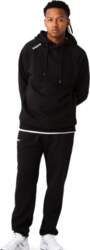 Vīriešu ikdienas džemperis CCM  Team Pullover
