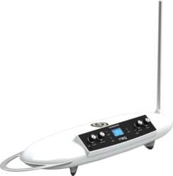 Moog Theremini