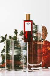 Loewe Solo Cedro 100ml