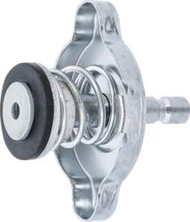 BGS Technic Spiediena adapteris | Ford