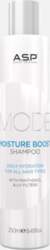 ASP Mode Care Moisture Boost Shampoo