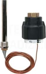 Danfoss termostata elements AVT R ¾
