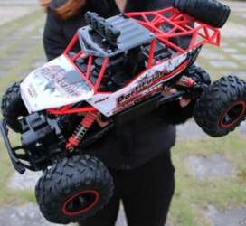 JEEP RC Sarkans
