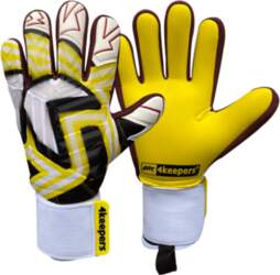 Bigone node 4keepers Evo Trago NC