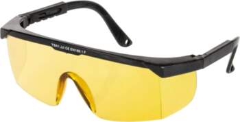 RICHMANN Dzidras brilles