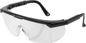 RICHMANN Dzidras brilles