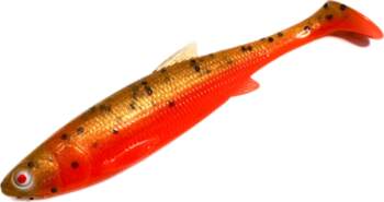 Oshelure Roach - 13cm / 01