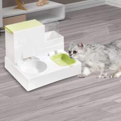 2 in 1 Automatic Cat Drinker