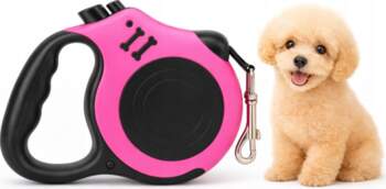 Anytech Automatic Lanyard for Dog Cat