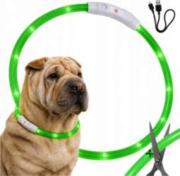 Aptel LED DOG GLOW COLLAR ADJUSTABLE
