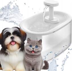 Automatic FOUNTAIN WITH LED induction for