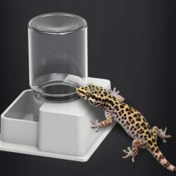 Automatic Reptile Water Dish Container Reusable