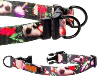 COLLAR double safe for small dog