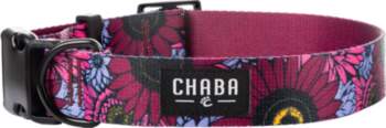 Collar for Small Dog Chaba Strong