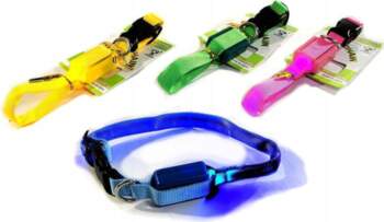 Dog Collar Glowing Material Collars Glowing