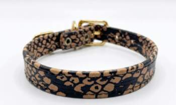 Dog collar leopard pattern 1,5cm/31
