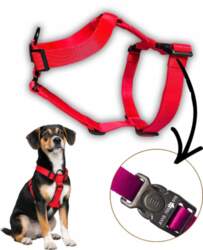Easy Walk Harness – anti-pull, training