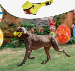 Muzzle for Dog Breathable Anti Biting