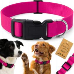 Reverse DOG WEBBING COLLAR SOLID WALKING
