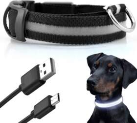 Reverse GLOWING LED COLLAR for Cat