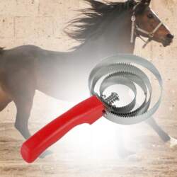 Reversible Curry Comb Double Sided Curry