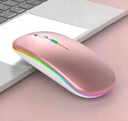 Wireless Bluetooth Mouse 2.4GHz Backlit