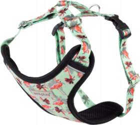 Amiplay Adjustable Harness Discovery BeHappy M