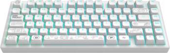 Dark Project ALU Terra Nova White