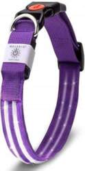 Dog Collar Glowing LED USB Adjustable