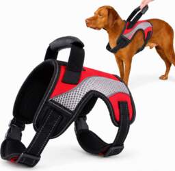 DOG HARNESS WITH CUSHIONED HANDLE ADJUSTABLE