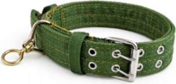 Dog Webbing Collar Width 4 cm