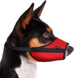 Grande Finale Veterinary muzzle Material for