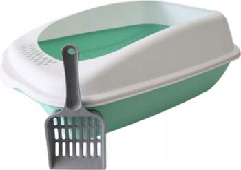 Green litter box for cat open