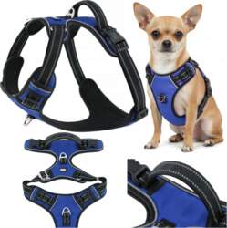 Harness for small dog guard with