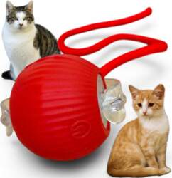Interactive Cat Ball USB-C 3 Modes