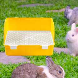 Rat Small Litter Box Training Pan
