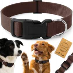 Reverse DOG WEBBING COLLAR SOLID WALKING