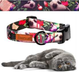 Webbing collar for small cat neck