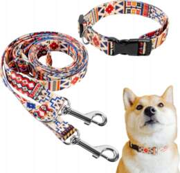 A804 Creative Pets Set: Universal Collar