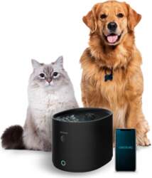 Automatic pet fountain CECOTEC Pumbaa 2500