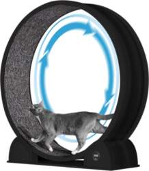 Cat Exercise Wheel, Smart Pedometer, Removable
